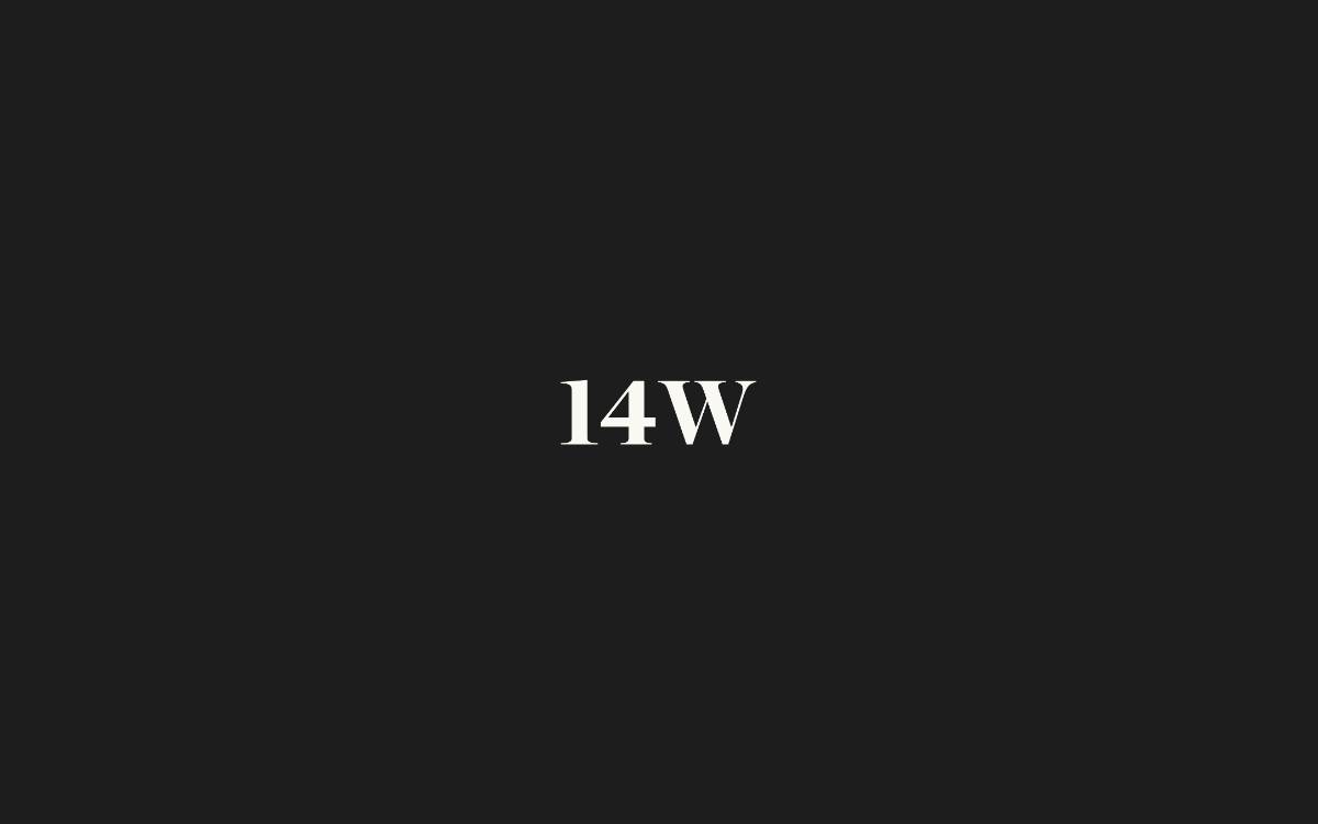 14W website preview