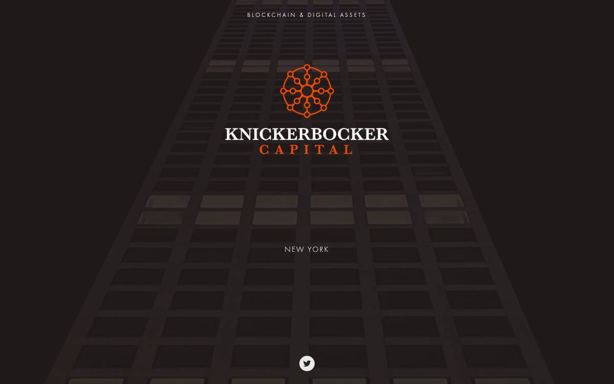 2020 Ventures website preview