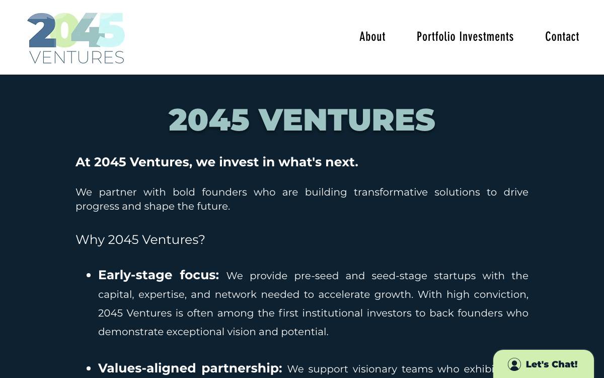 2045 Ventures website preview