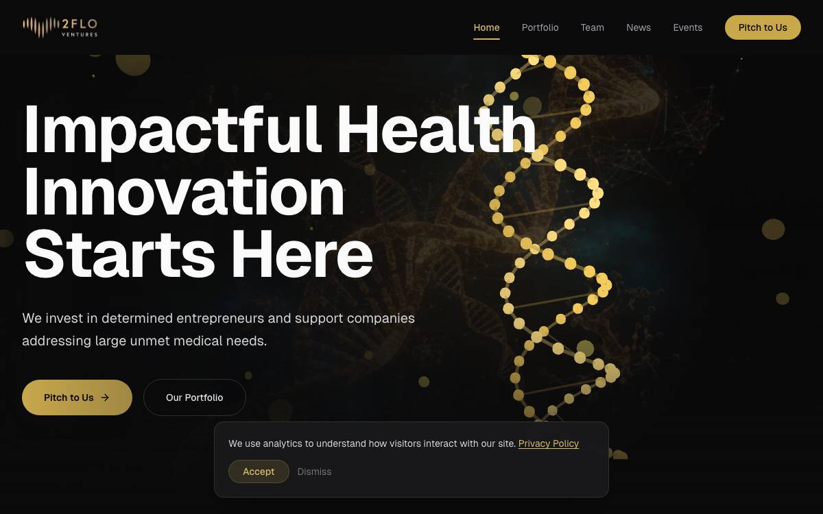 2Flo Ventures website preview