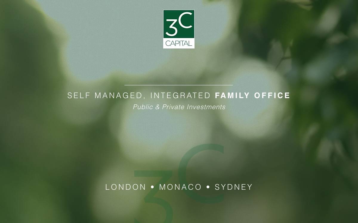 3C Capital website preview