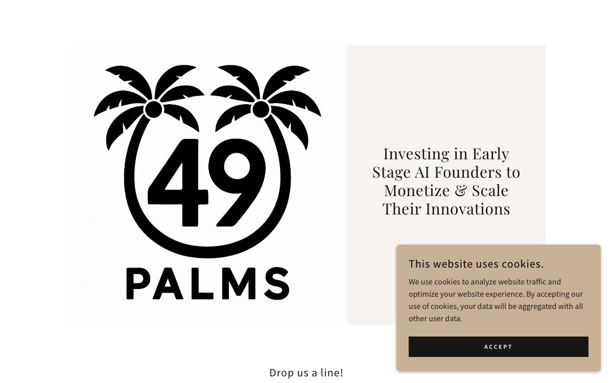 49 Palms Ventures website preview
