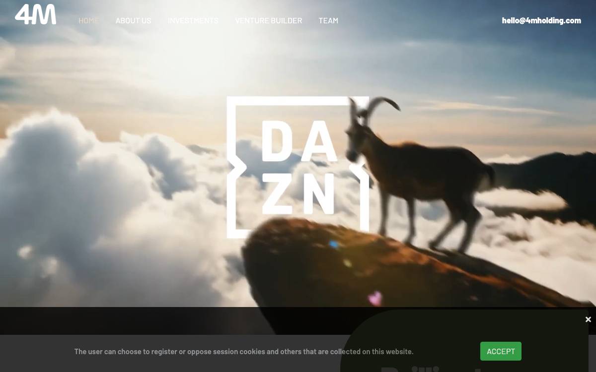 4M Holding website preview