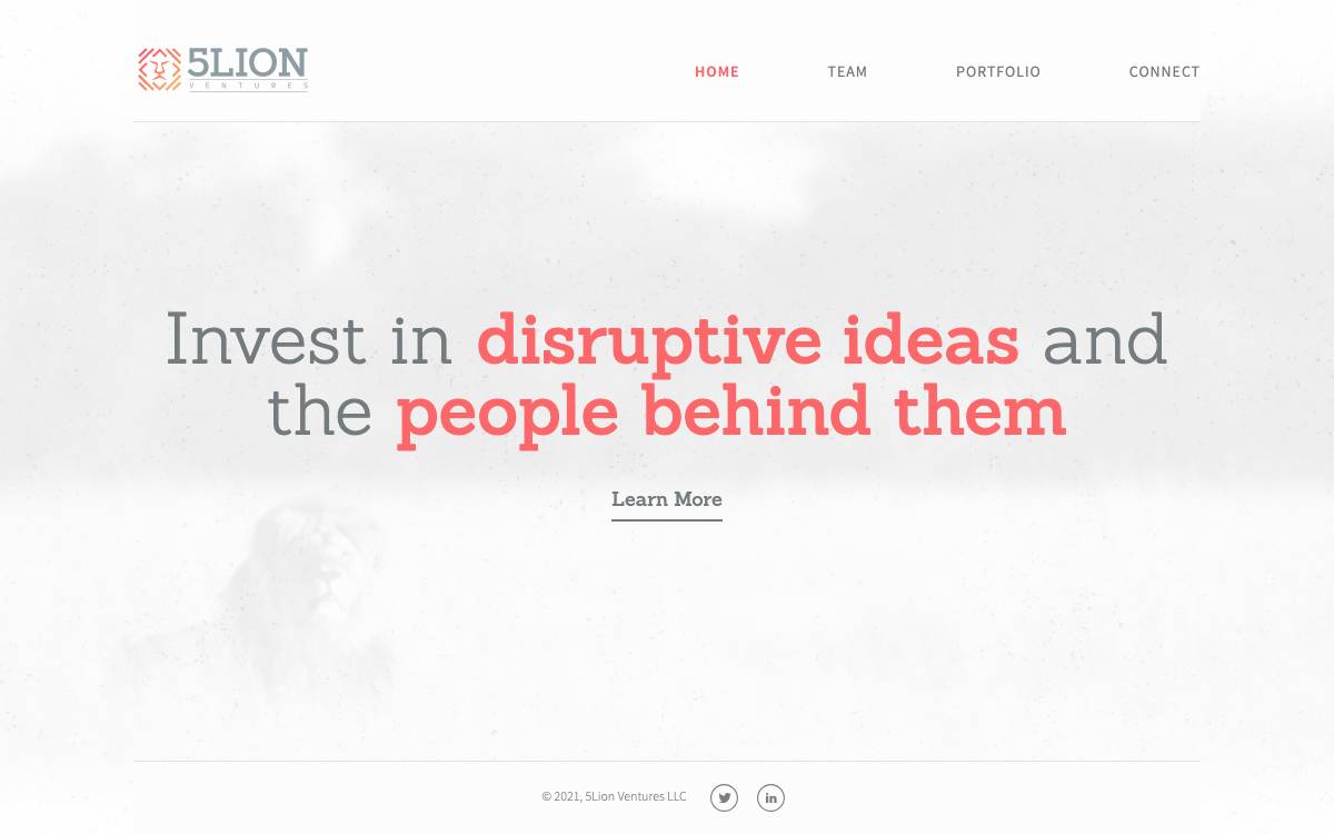 5Lion Ventures website preview