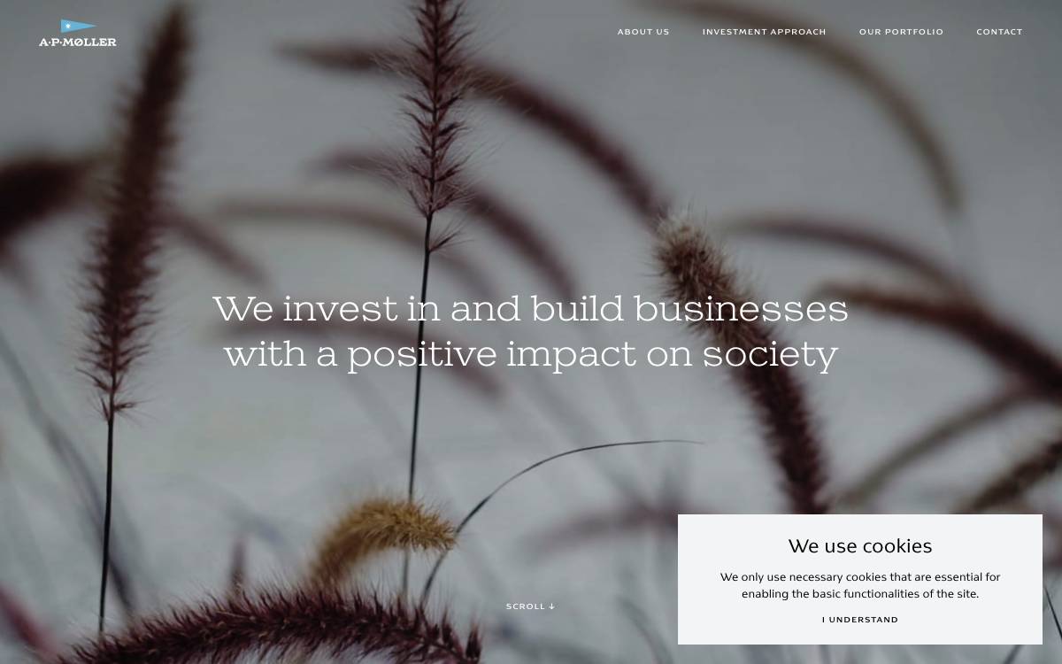 A.P. Moller Holding website preview