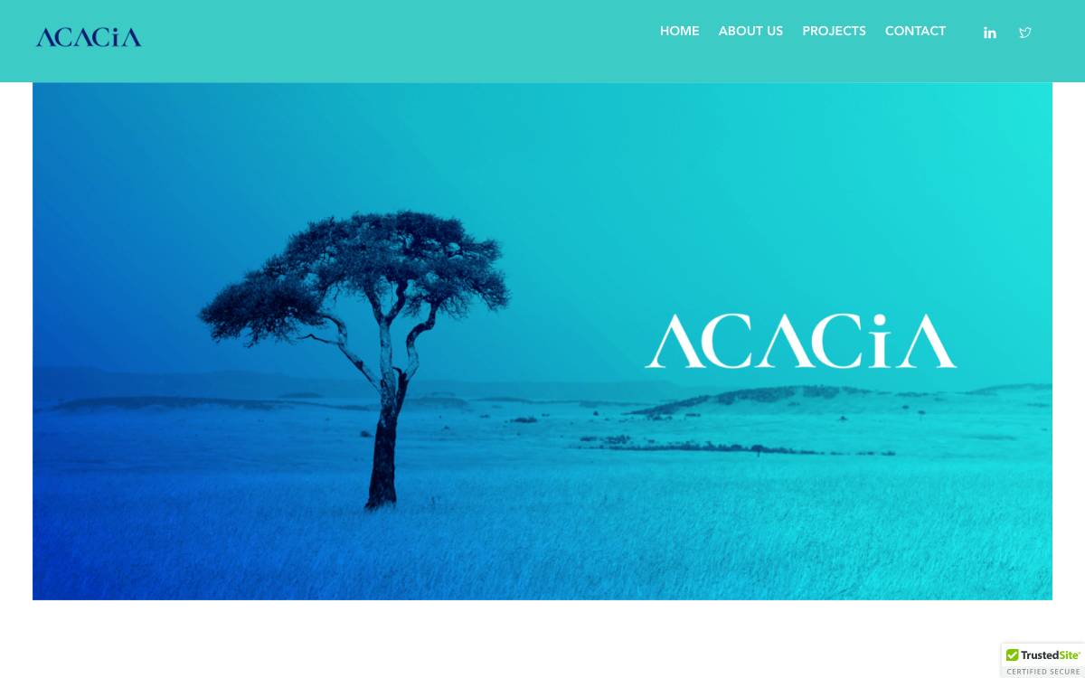 Acacia Digital Holdings website preview
