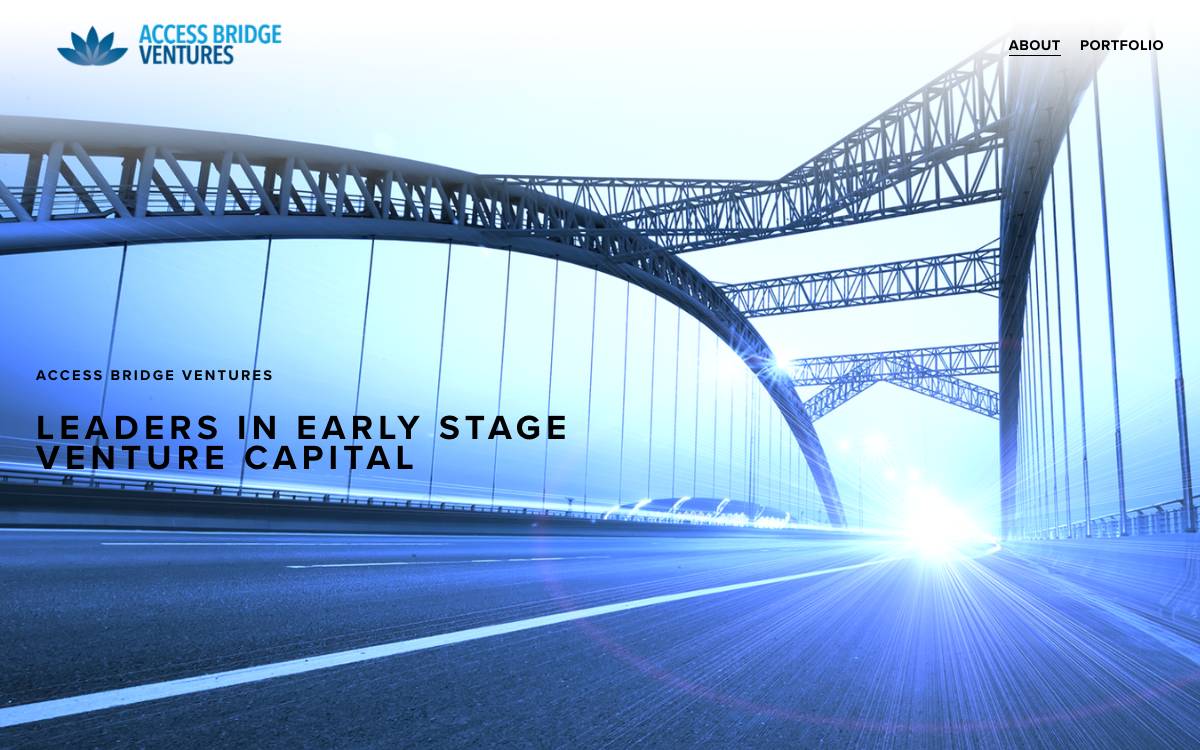 Access Bridge Ventures website preview