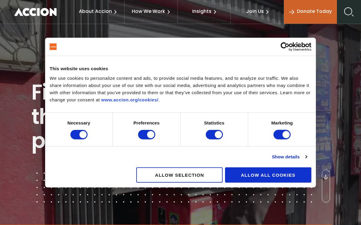 Accion website preview