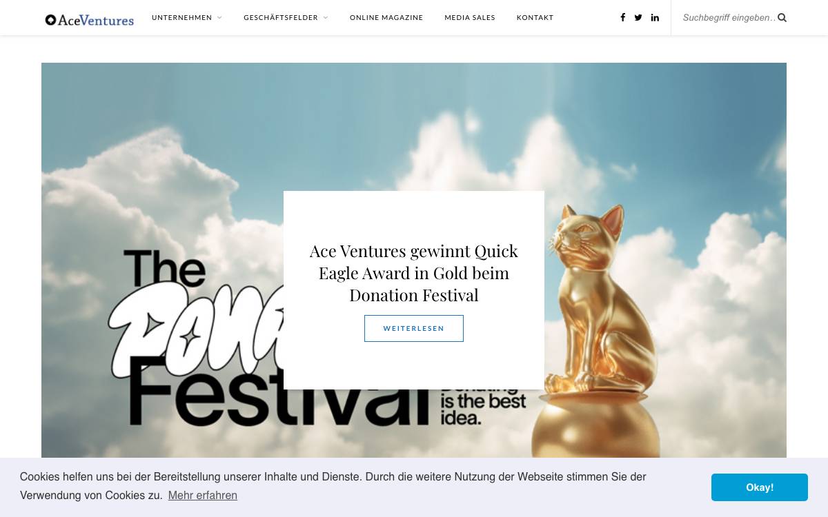 ACE Ventures website preview