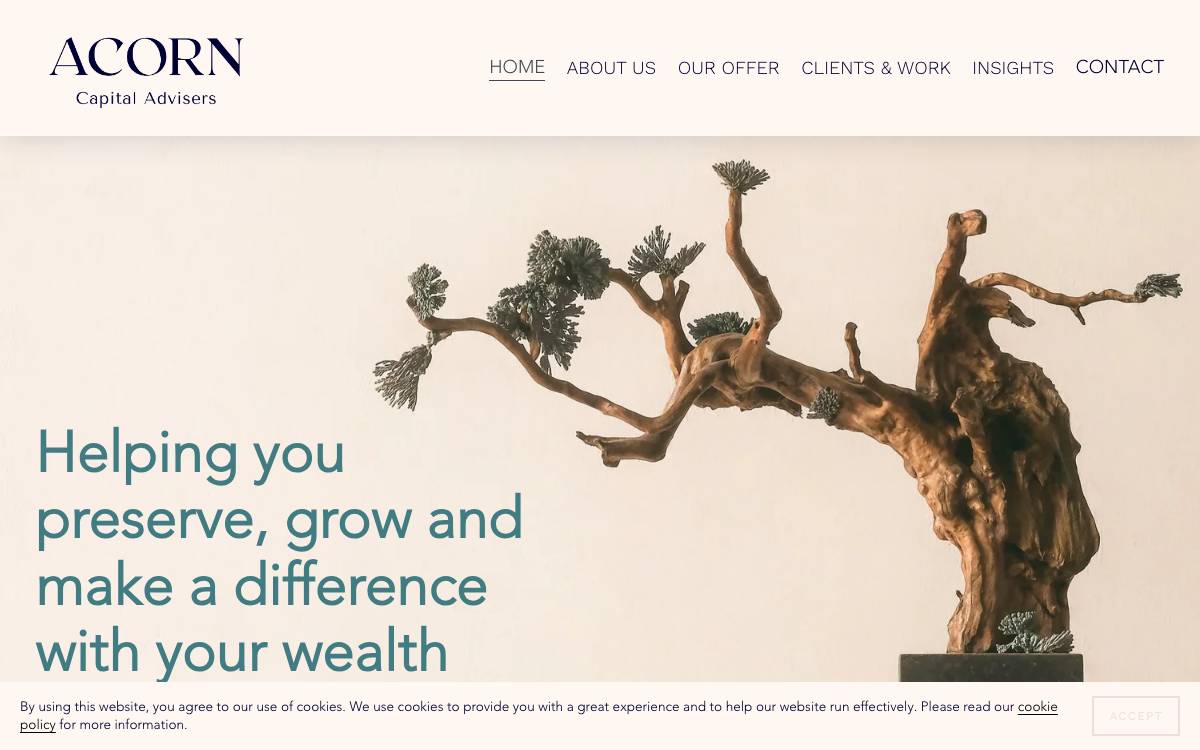 Acorn Capital Advisers website preview
