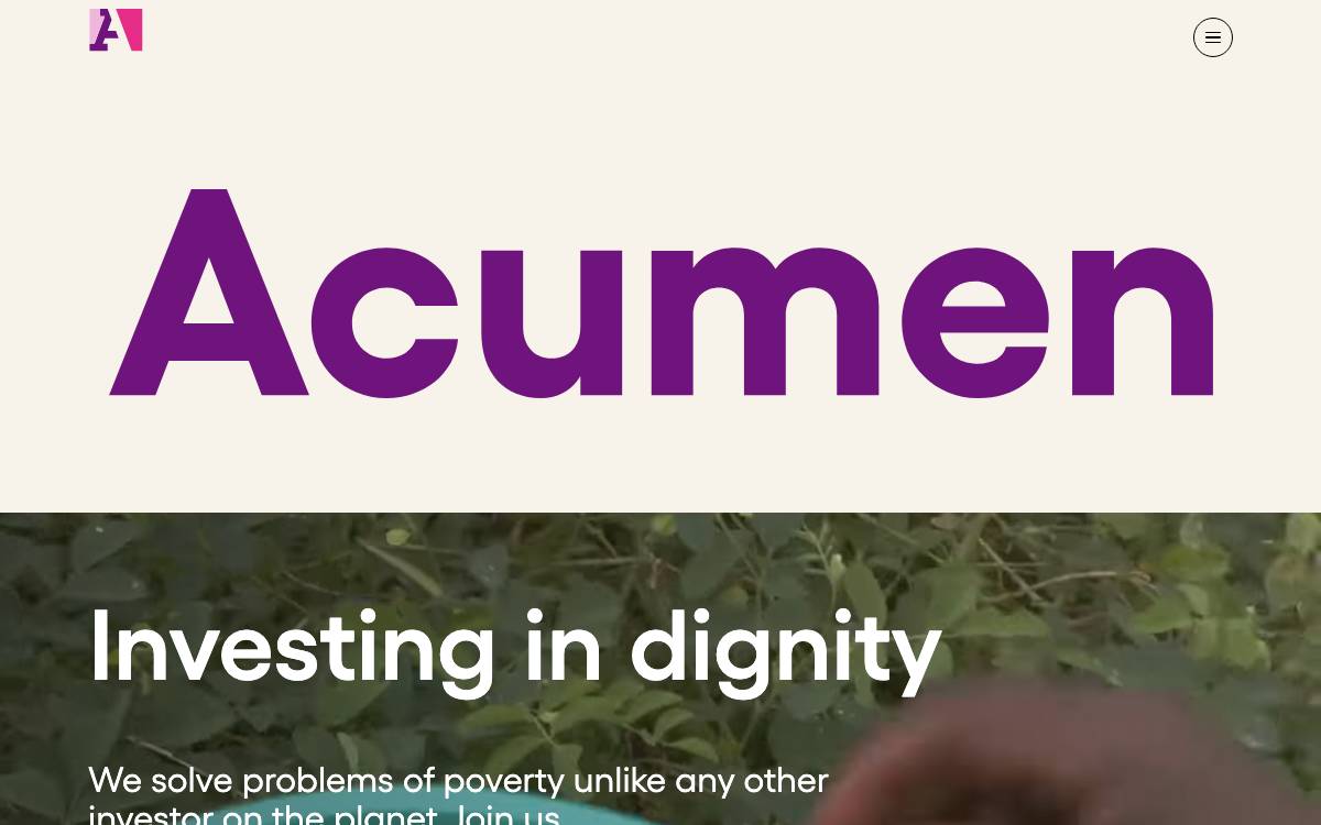 Acumen website preview