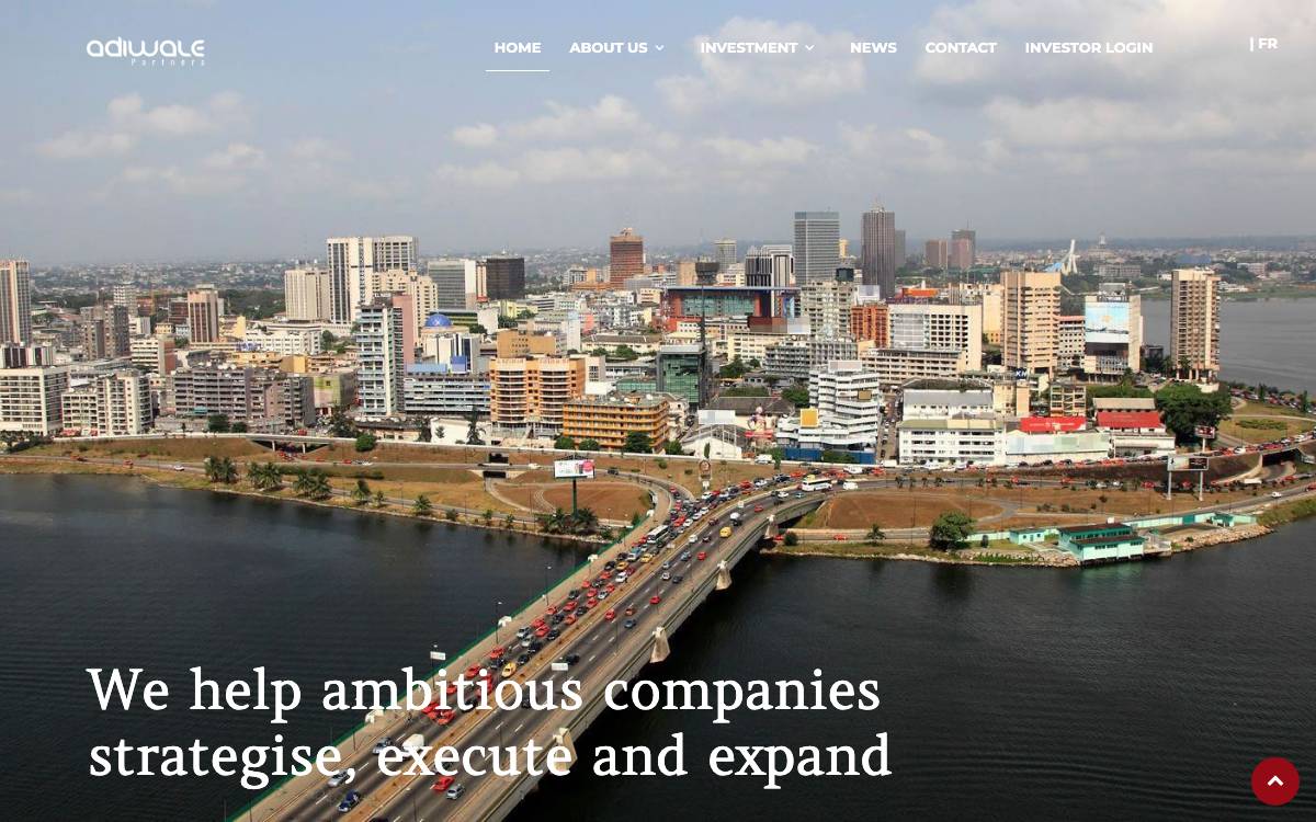 Adiwale Partners website preview