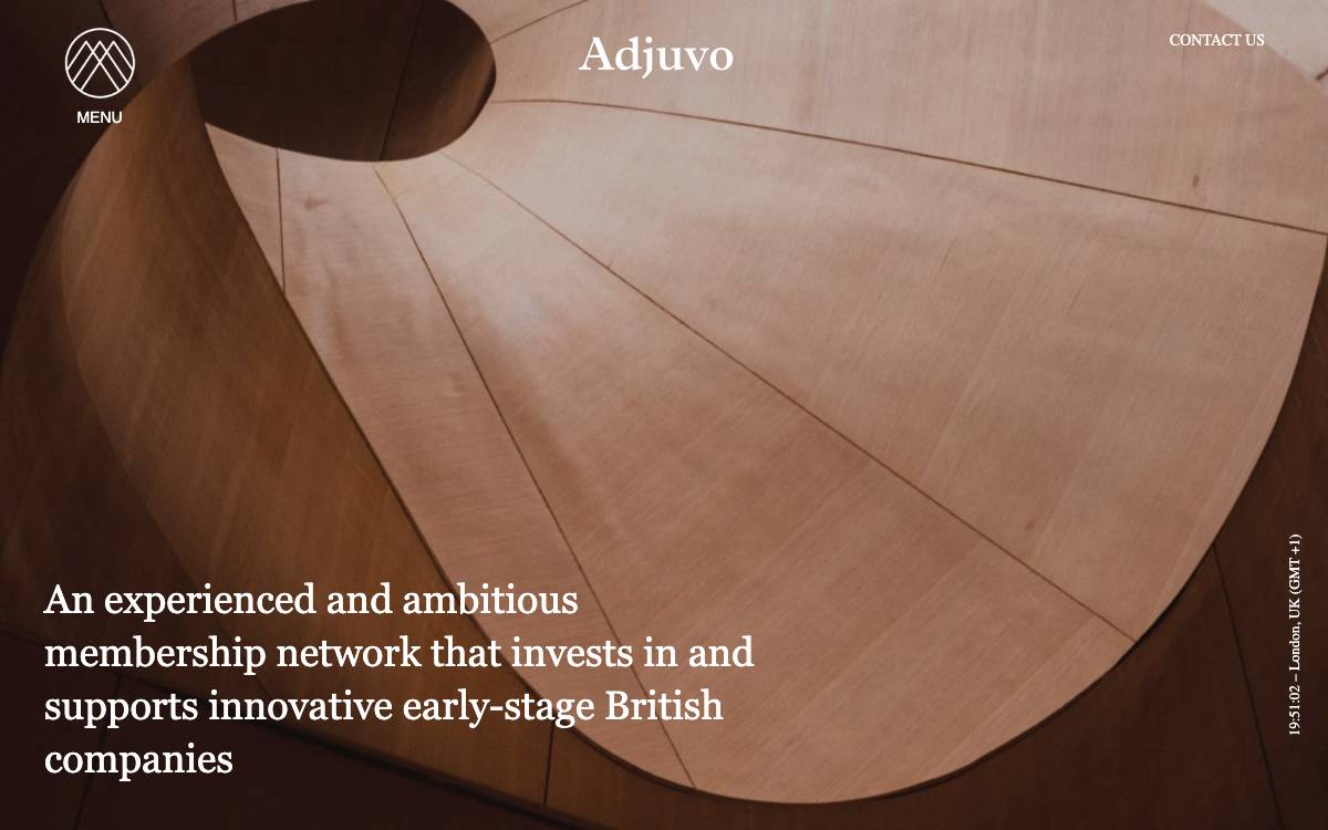 Adjuvo website preview