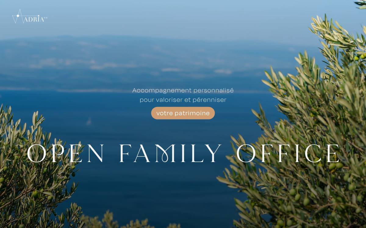 Adria Wealth Management website preview