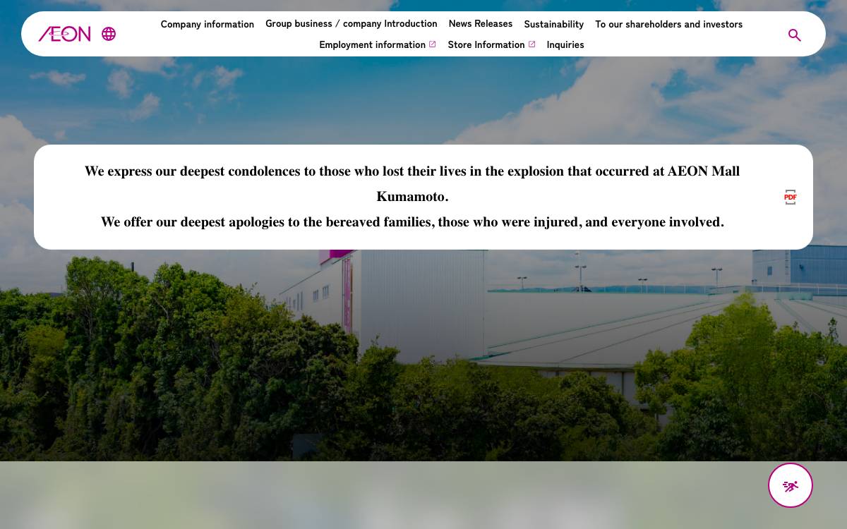 AEON website preview