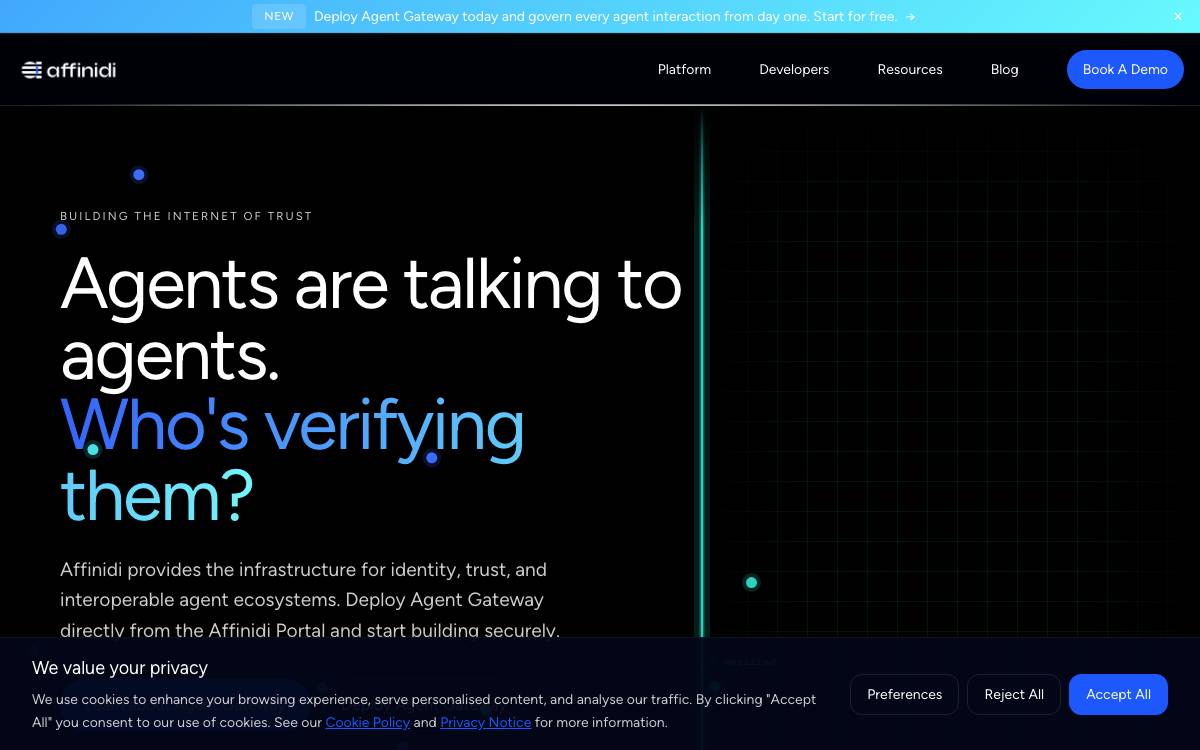 Affinidi website preview