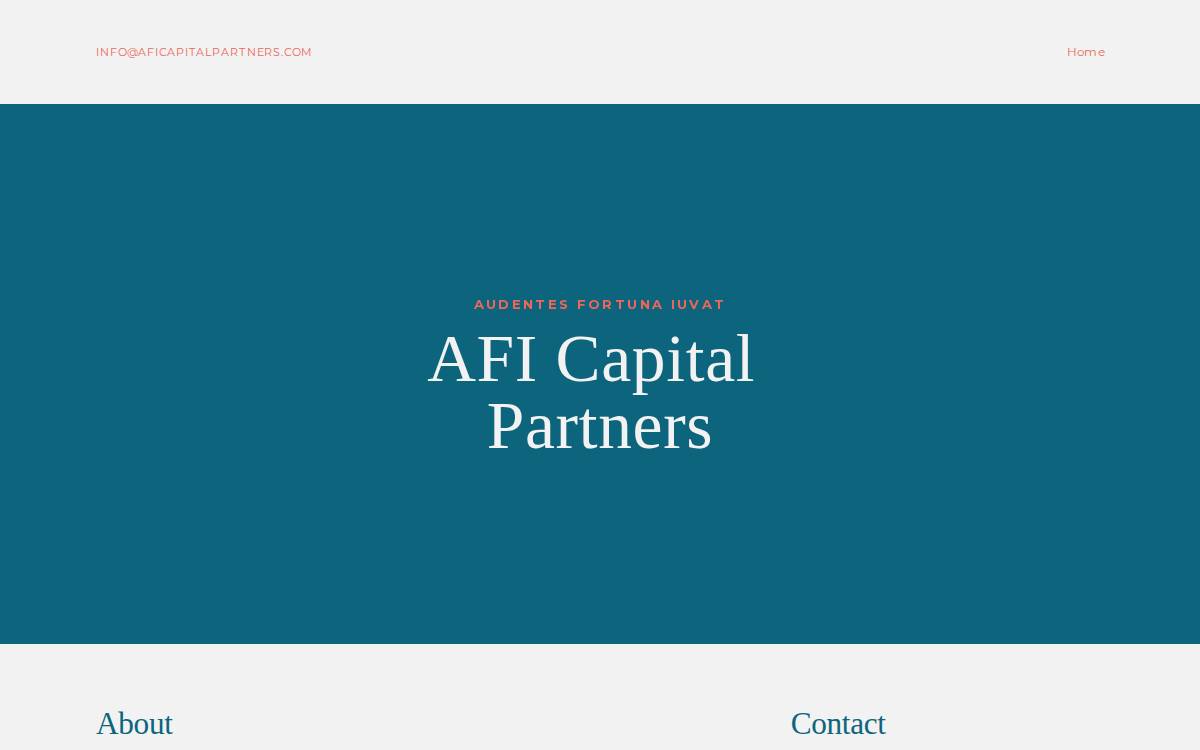 AFI Capital Partners website preview