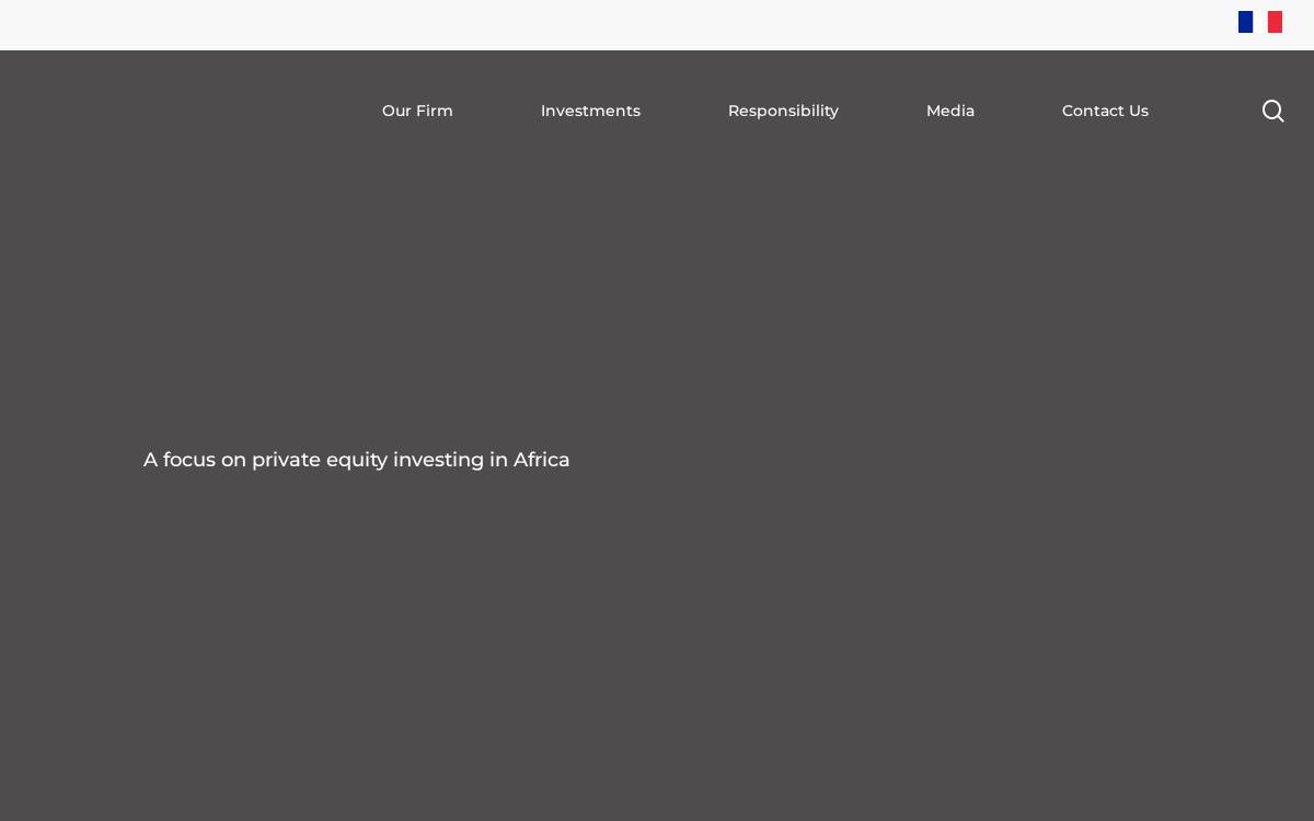 AFIG website preview