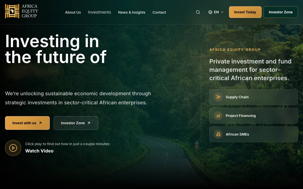 Africa Equity Group website preview