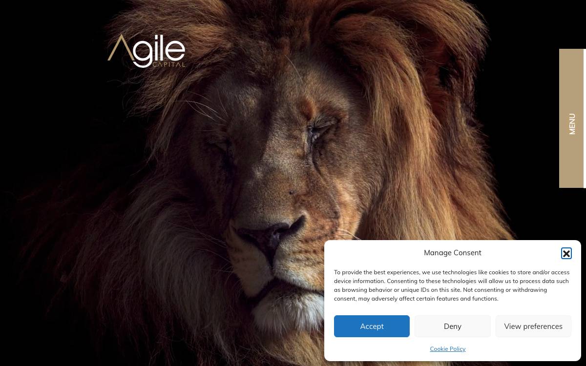 Agile Capital website preview