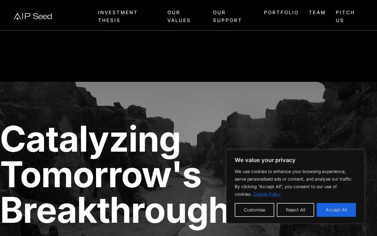 AIP Seed website preview