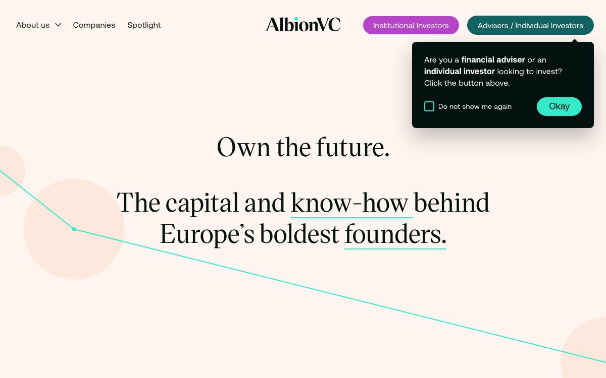 AlbionVC website preview