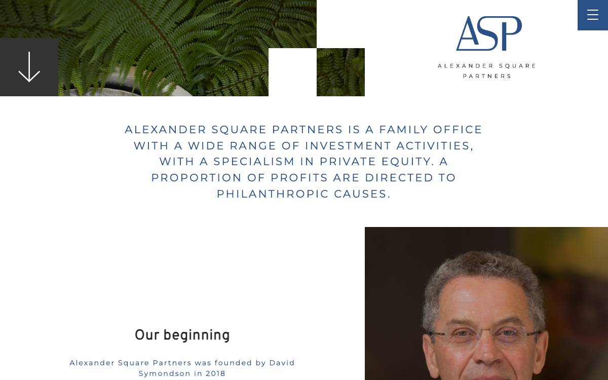 Alexander Square Partners website preview