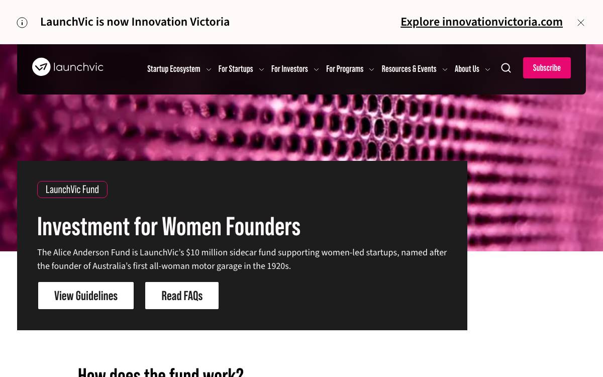 Alice Anderson Fund website preview