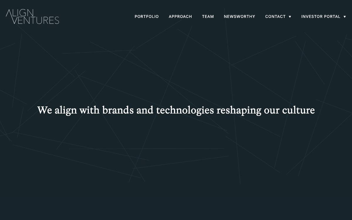 Align Ventures website preview