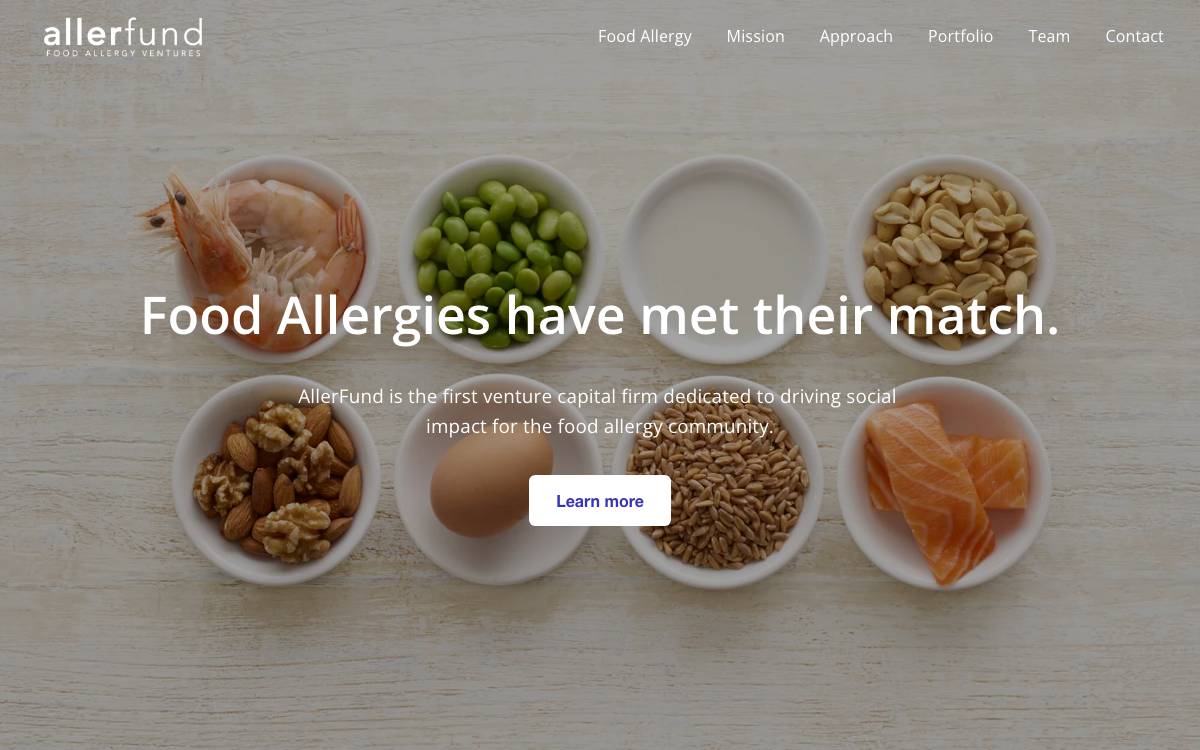 Allerfund Ventures, Llc website preview