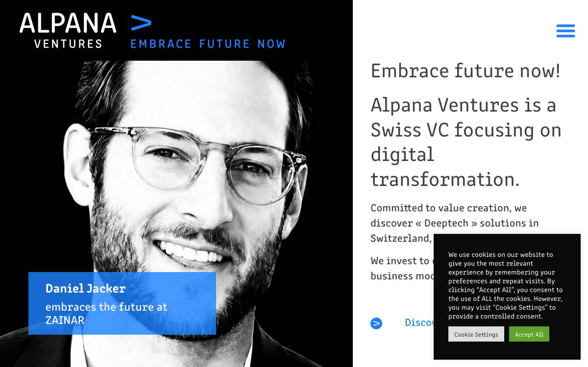 Alpana Ventures website preview