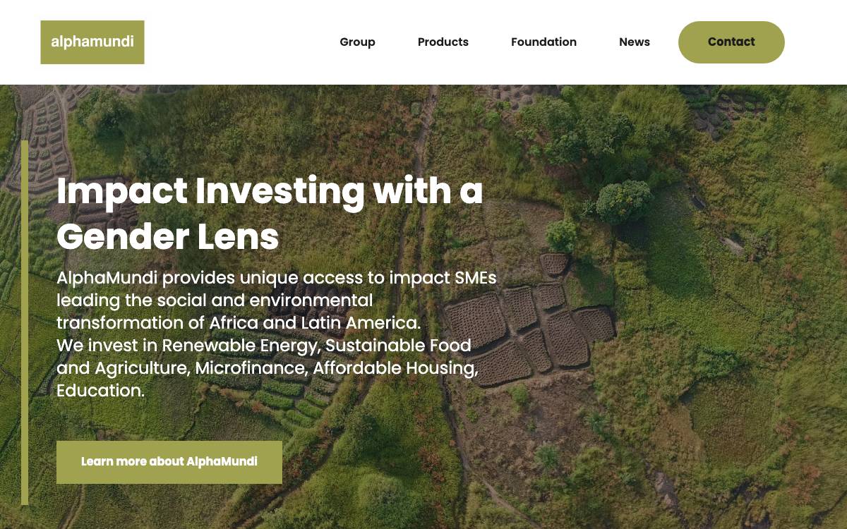 AlphaMundi Group website preview