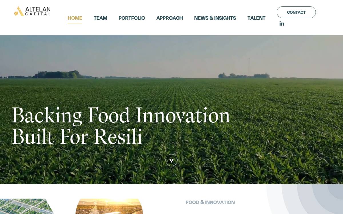 Altelan website preview