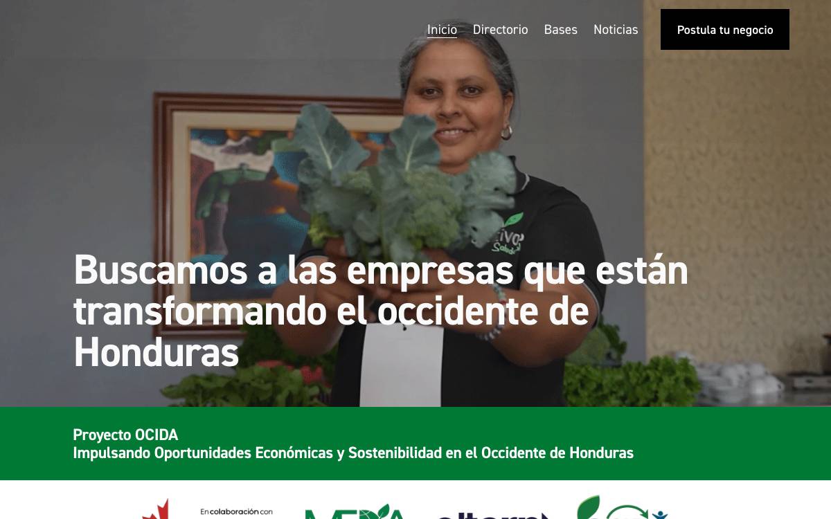 Alterna / OCIDA website preview