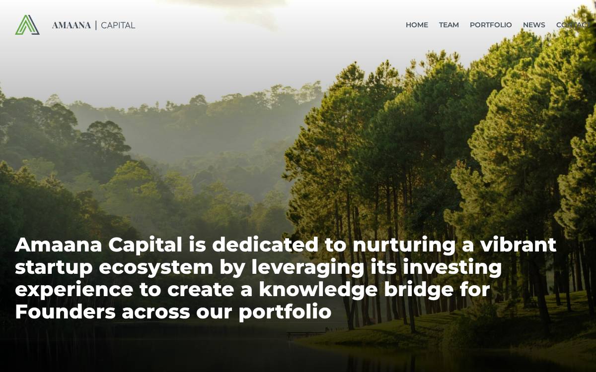 Amaana Capital website preview