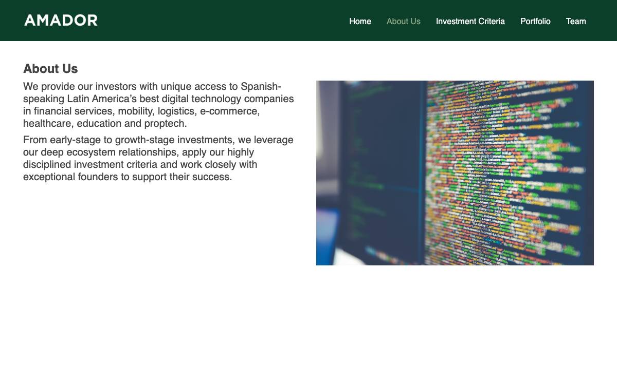 Amador Holdings website preview