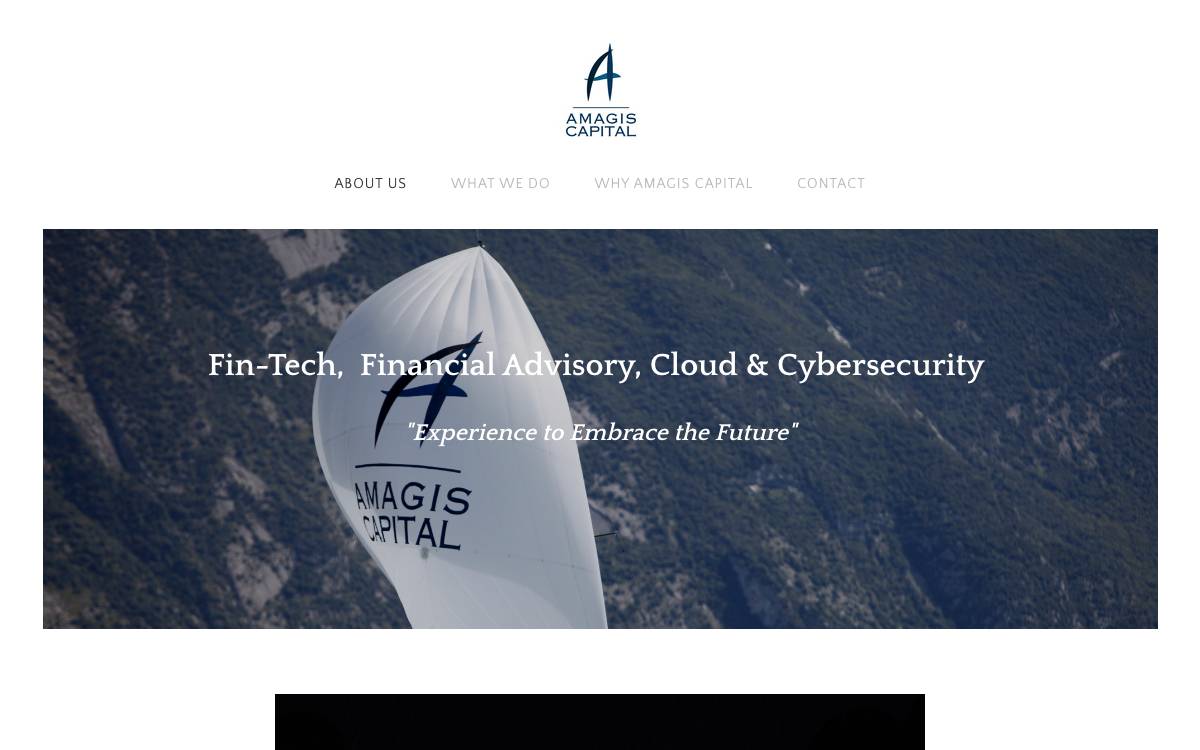 Amagis Capital website preview