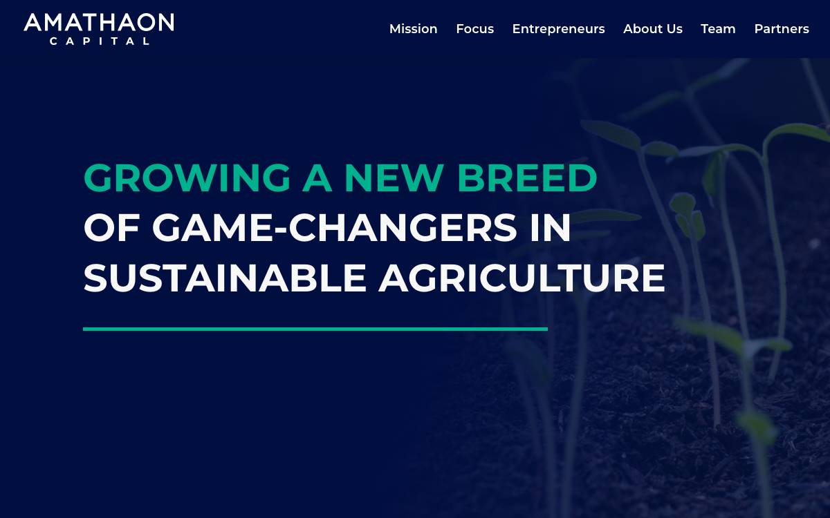 Amathaon Capital website preview