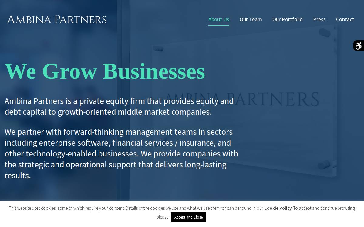 Ambina Partners website preview