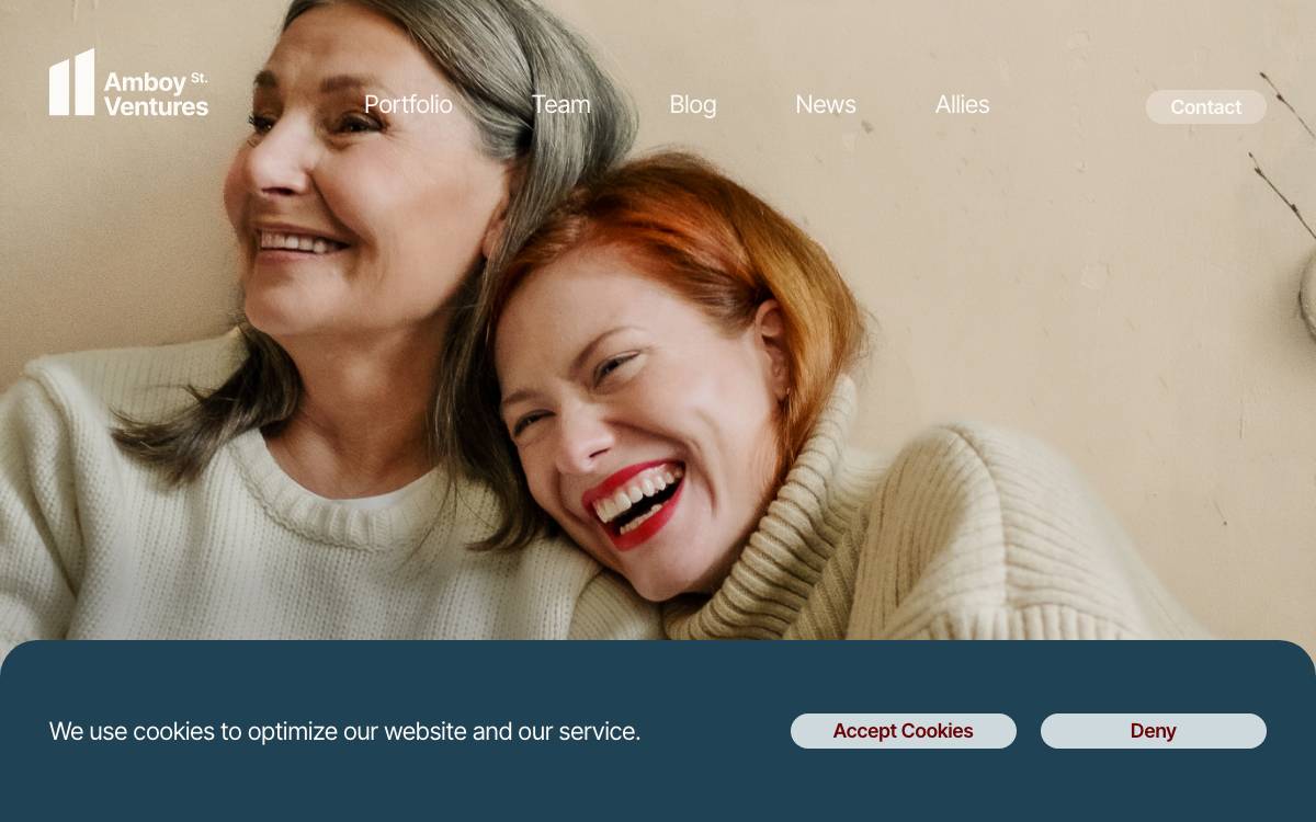 Amboy Street Ventures website preview