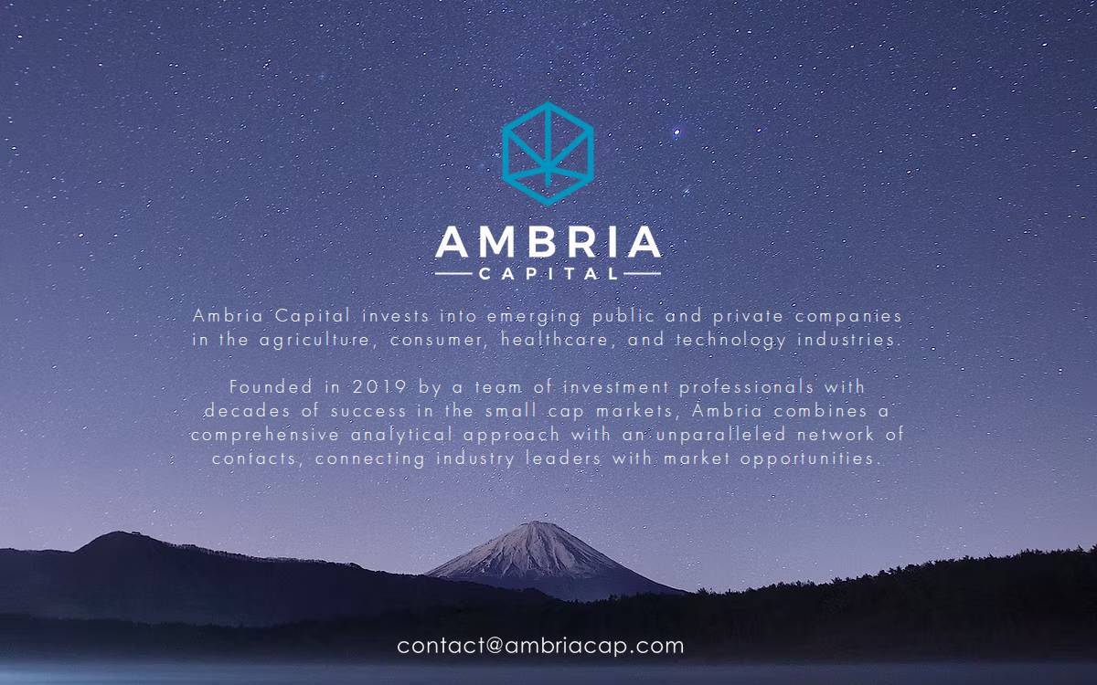 Ambria Capital website preview