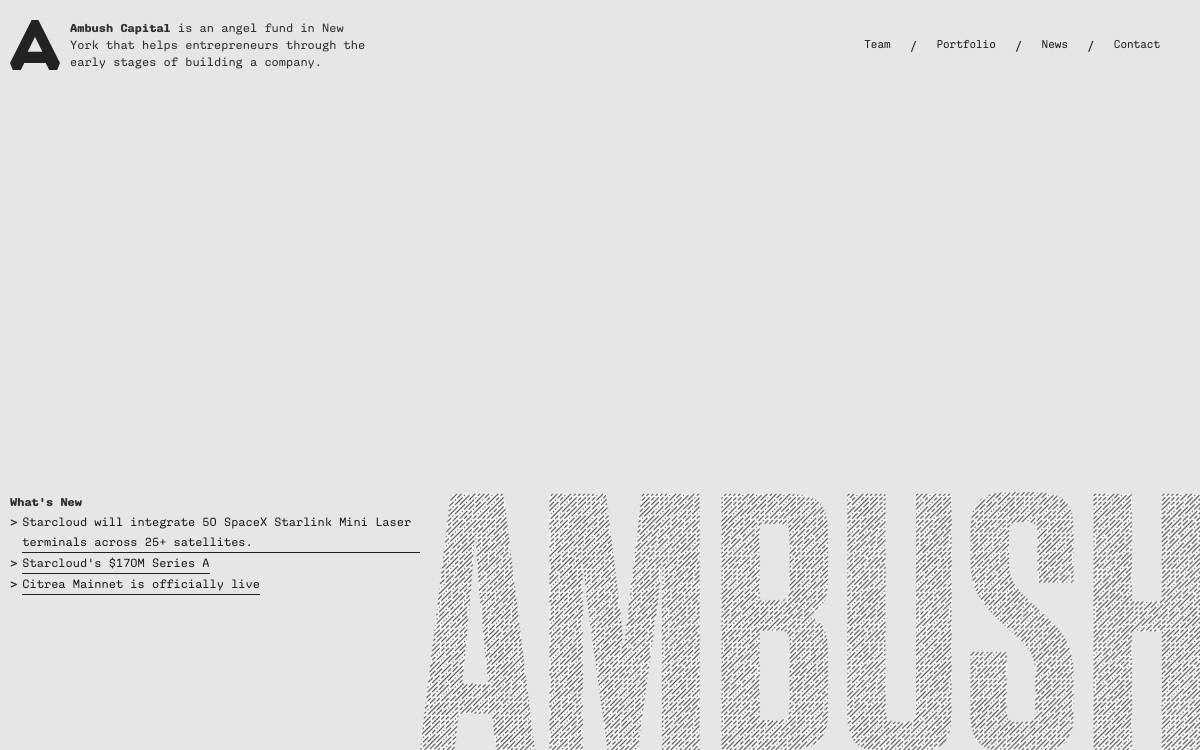 Ambush Capital website preview