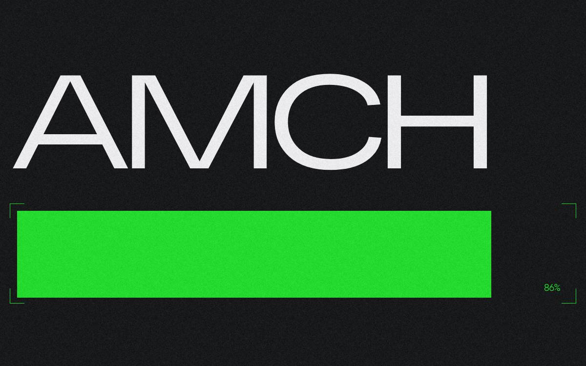 AMCH LTD website preview