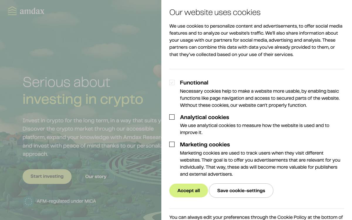 Amdax website preview