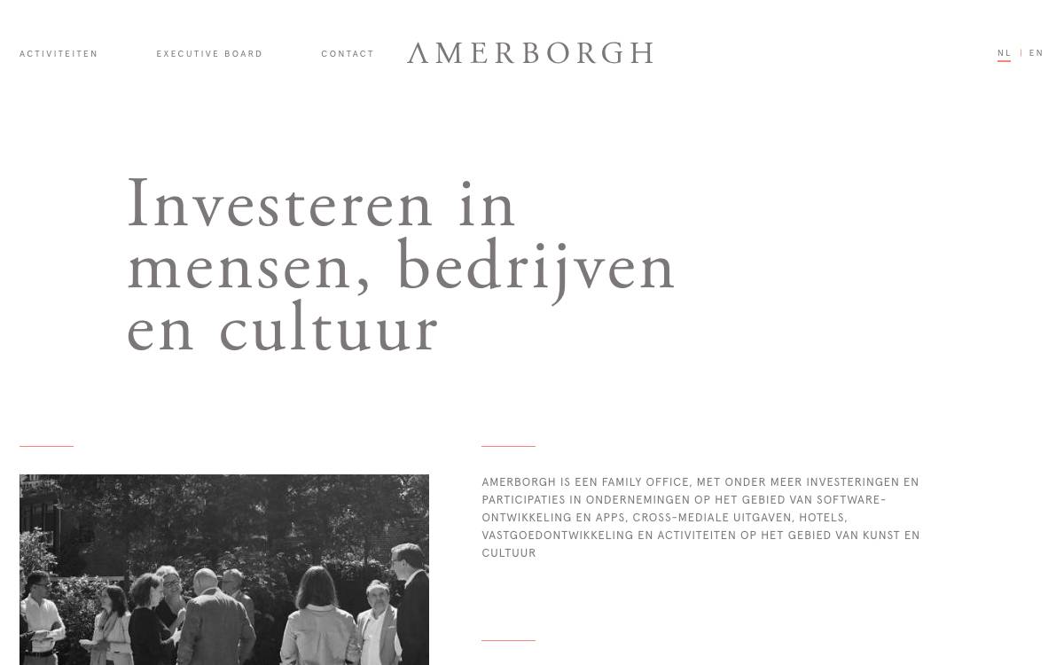Amerborgh website preview