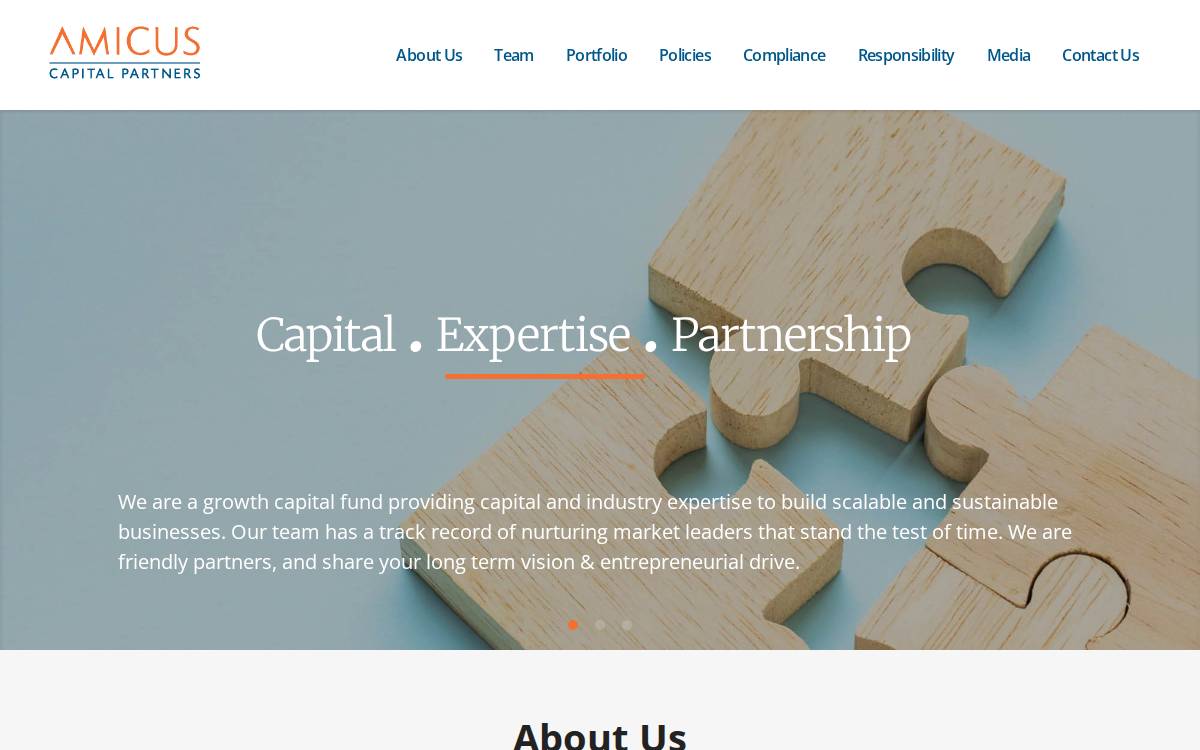 Amicus Capital Partners website preview