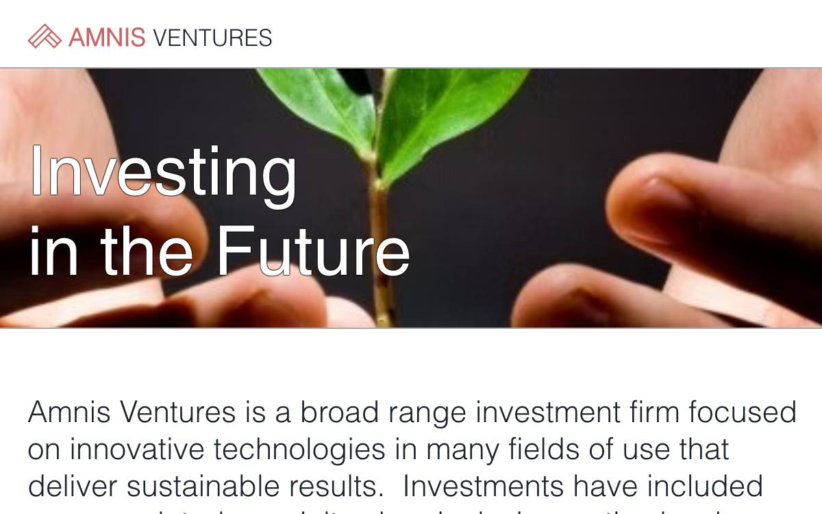 Amnis Ventures website preview