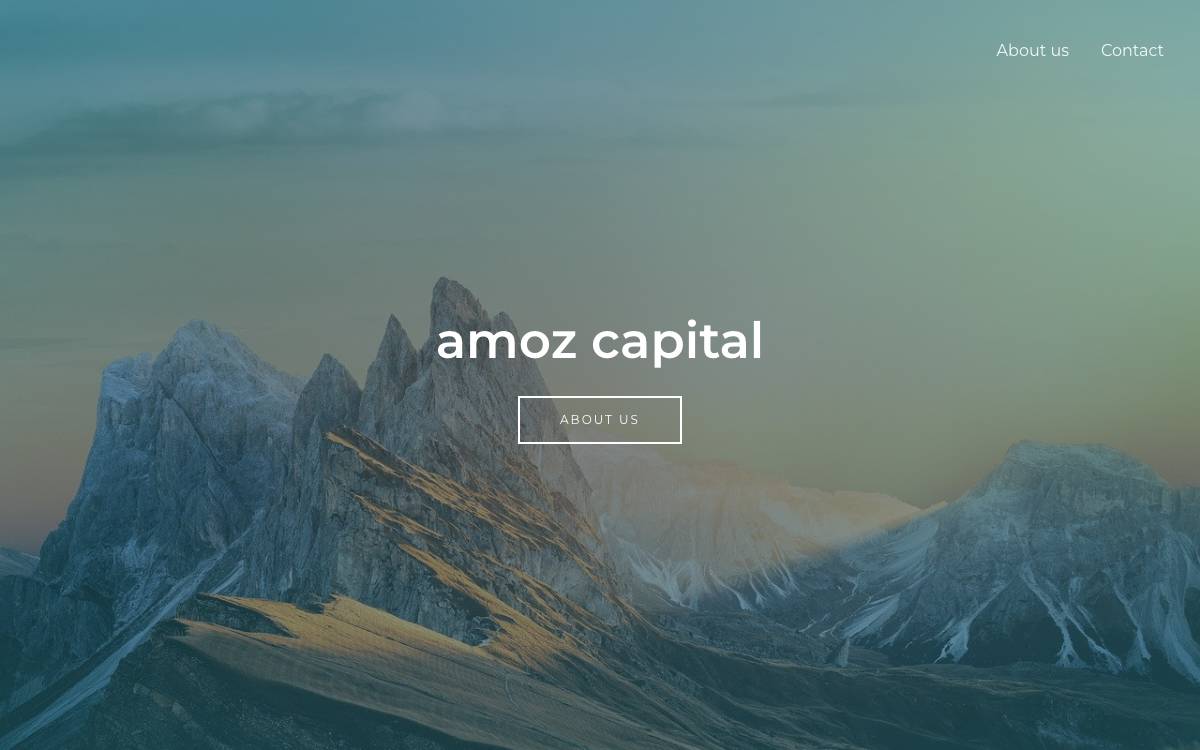 AMOZ Capital website preview