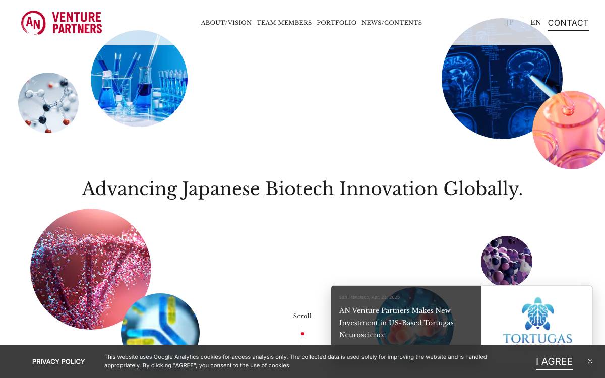 AN Venture Partners website preview