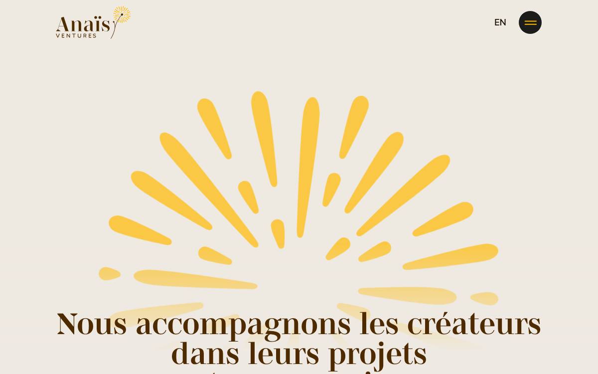 Anais Ventures website preview